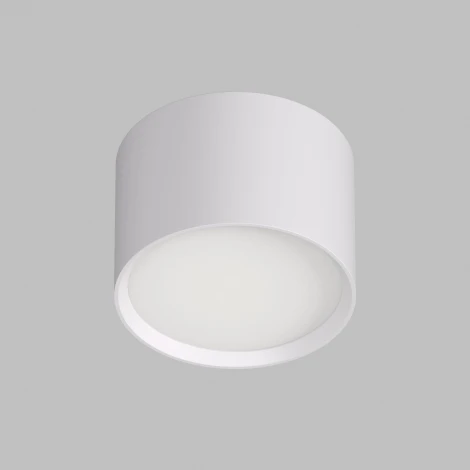 Накладной светильник Denkirs Lund DK2601-WH (220V, круглые)