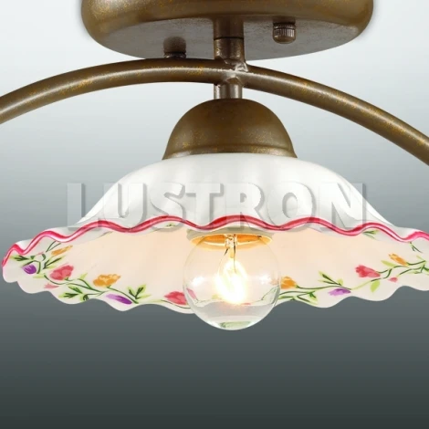 Потолочный светильник Odeon Light Camili 2647/1C