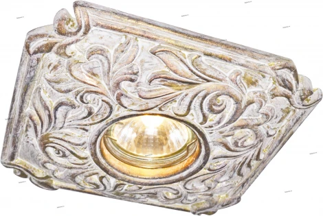 Встраиваемый точечный светильник Arte Lamp Muster A5279PL-1RI