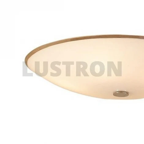 Потолочный светильник Citilux CL911 CL911501