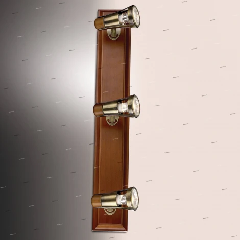 Спот Odeon Light Virsu 1972/3W
