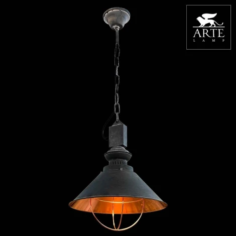 Подвесной светильник Arte Lamp Loft A5050SP-1BG
