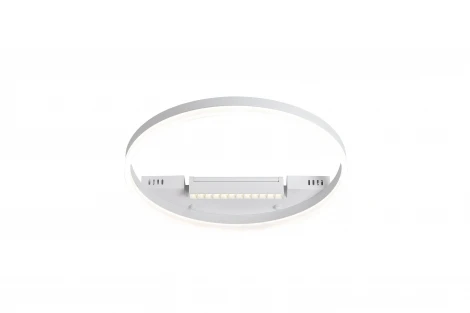 Потолочный светильник Freya Frame FR6084CL-L68W