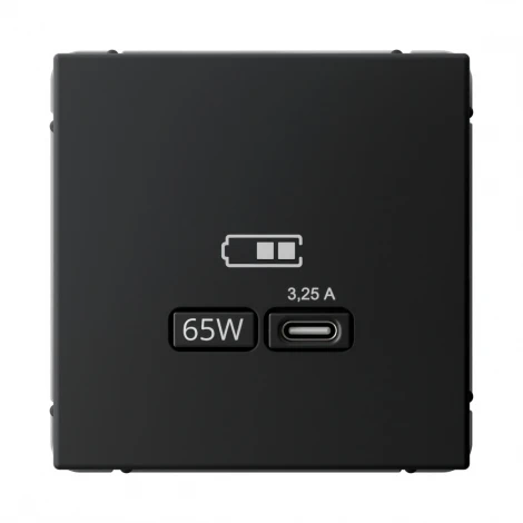 Розетка с быстрой зарядкой USB Type-C 65Вт (карбон) Systeme Electric GAL001027