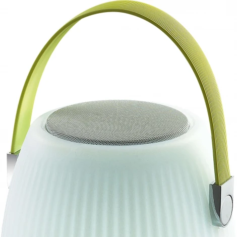 Интерьерная настольная лампа Favourite Speaker 2128-1T
