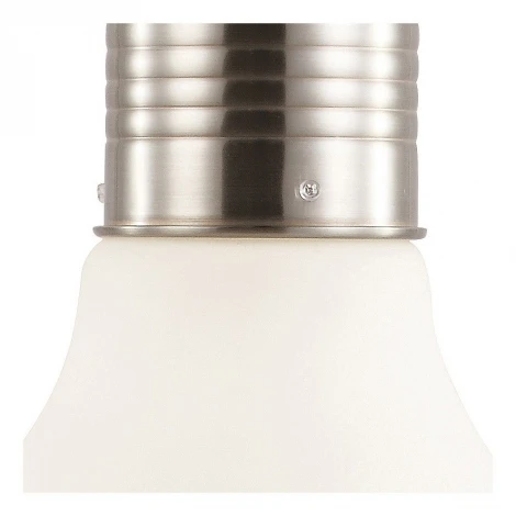 Подвесной светильник Arte Lamp Edison A1402SP-1SS
