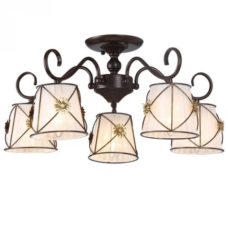 Потолочная люстра Arte Lamp Fortuna A5495PL-5BR
