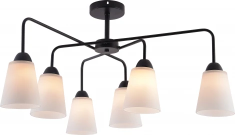 Потолочная люстра на штанге Rivoli Jodie 9190-306 6хЕ27 60 Вт