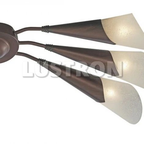 Потолочная люстра Arte Lamp Gothica A6415PL-6BR