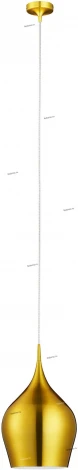 Подвесной светильник Arte Lamp Vibrant A6426SP-1GO