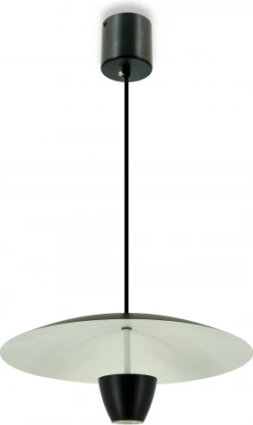 Подвесной светильник Lightera Pichola LE128L-40B (LED, 220V, на проводе, круглые)