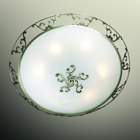 Настенно-потолочный светильник Odeon Light Tarta 2727/6C