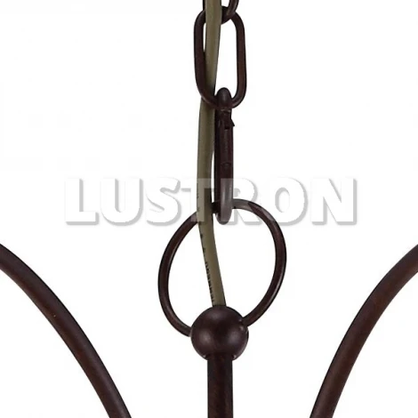 Подвесная люстра Arte Lamp Bulbo A8955LM-8BR