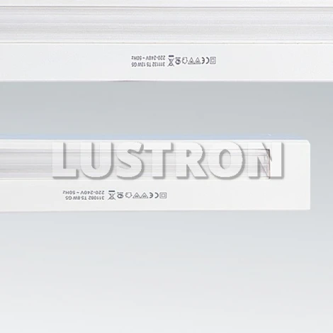 Точечный накладной линейный светильник с выключателем Lightstar TL2005 311132
