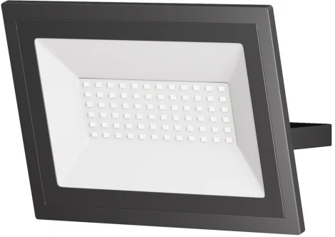 Прожектор уличный светодиодный Maytoni Flood FL001-L50B6K (220V, IP65)