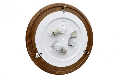 Настенно-потолочный светильник Sonex Barocco Wood 334