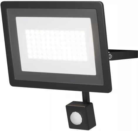 Прожектор уличный светодиодный с датчиком движения Maytoni Flood FL001-L50B6KSR (220V, IP65)