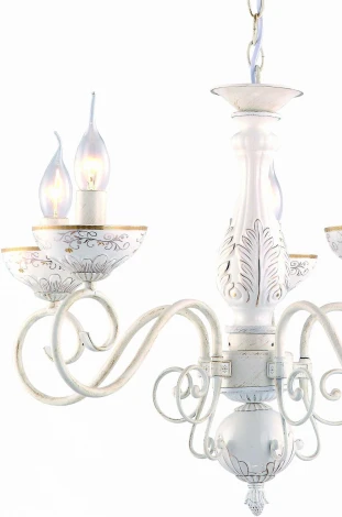 Подвесная люстра Arte Lamp Lucia A9594LM-5WG