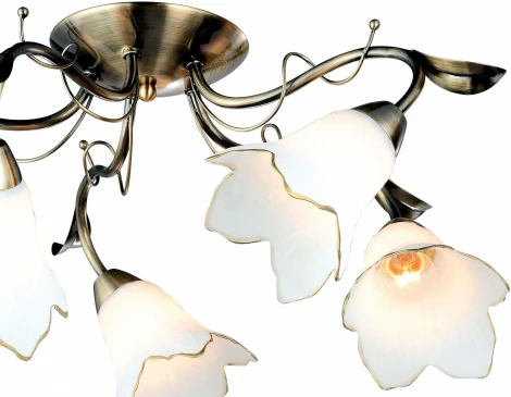 Потолочная люстра Arte Lamp Barbara A6066PL-5AB