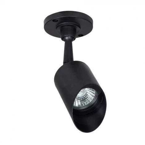 Прожектор уличный Arte Lamp Elsie A1022AL-1BK (220V, IP65)
