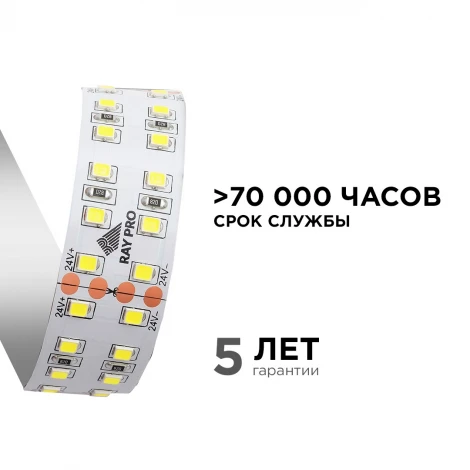 Светодиодная лента 24В ПРО 42Вт/м SMD2835 240д/м IP20 4200Лм/м ширина подложки 30мм, 5м 4000К Apeyron 00-316