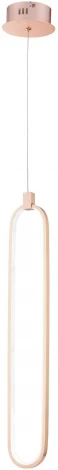 Подвесной светильник Maytoni Chain MOD017PL-L13G (LED, 220V, на проводе)