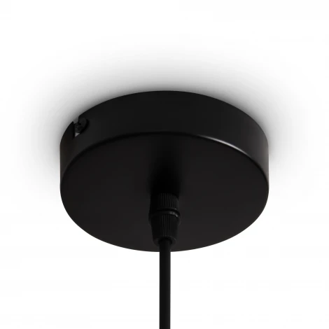 Подвесной светильник Freya Topi FR5503PL-01B