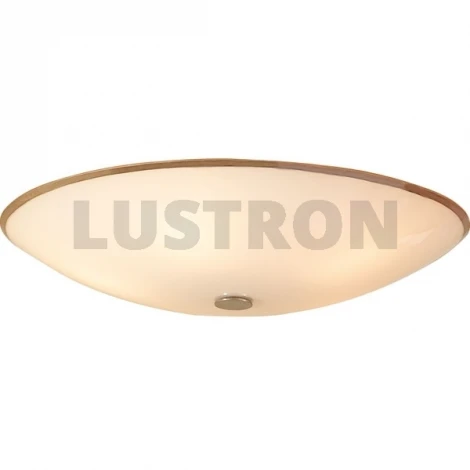 Потолочный светильник Citilux CL911 CL911501