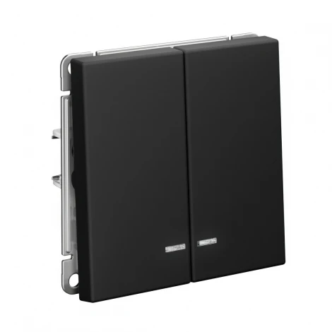 Выключатель двухклавишный с подсветкой (карбон) Systeme Electric GAL001053