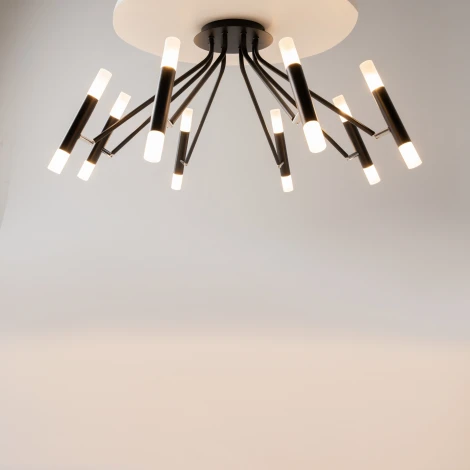 Потолочная люстра Maytoni Vigo MOD620CL-16B (220V)