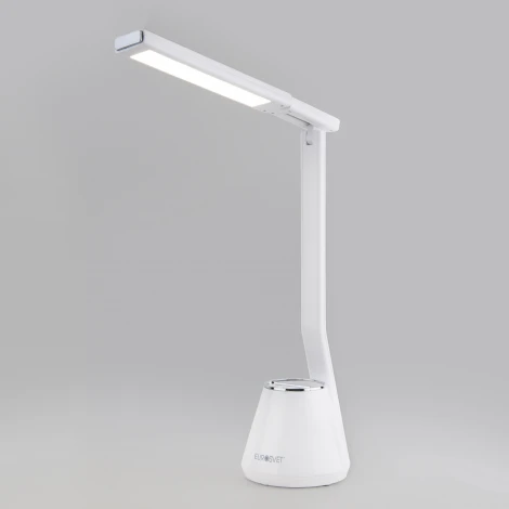 Офисная настольная лампа Elektrostandard Office 80421/1