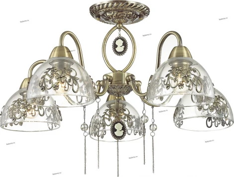 Потолочная люстра Lumion Absolona 3452/5C
