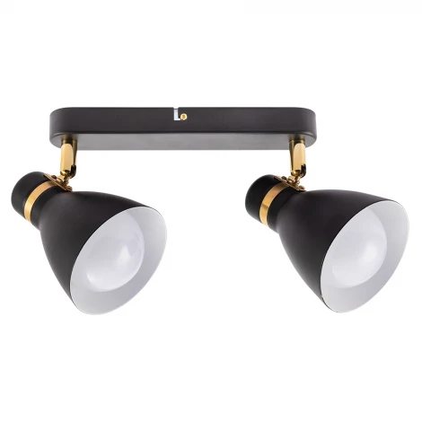 Спот на штанге Arte Lamp Fafnir A5047PL-2BK (220V)