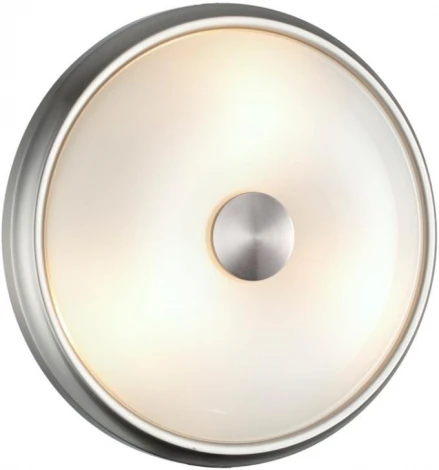 Настенно-потолочный светильник Odeon Light Pelow 4957/2 (220V, круглые)