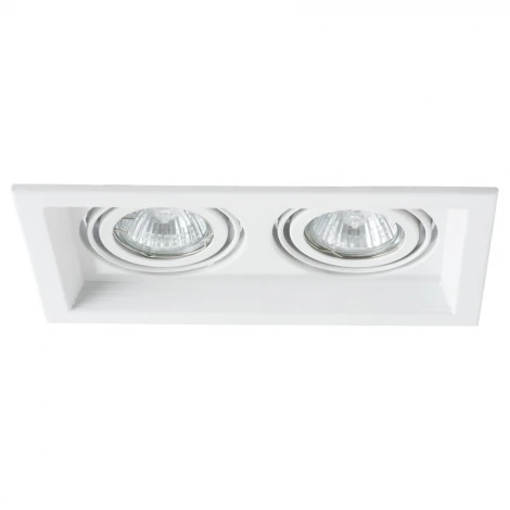 Встраиваемый точечный светильник Arte Lamp Canis A6661PL-2WH (220V)