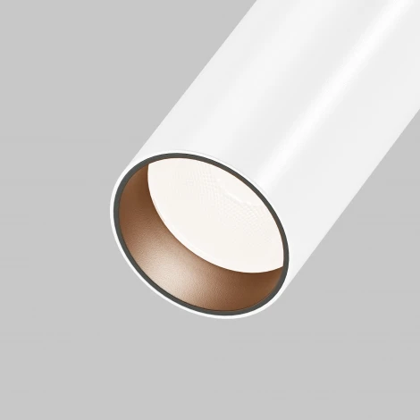 Спот Maytoni Focus Led C055CL-L12W2.7K-W-W (220V, круглые)