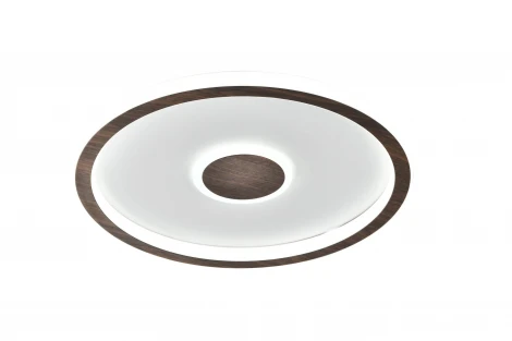 Потолочный светильник светодиодный Freya Orbit FR5421CL-L80BR
