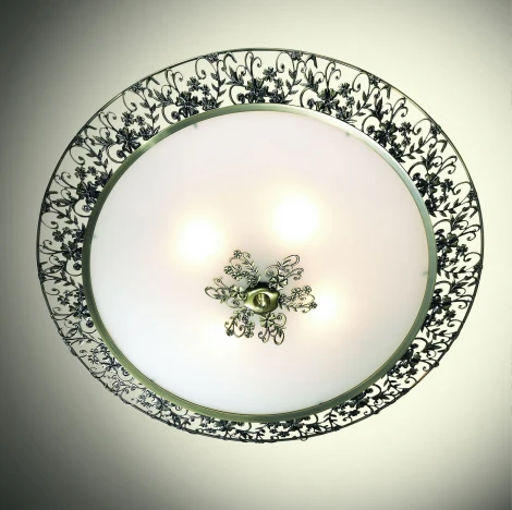Настенно-потолочный светильник Odeon Light Balasa 2726/4C