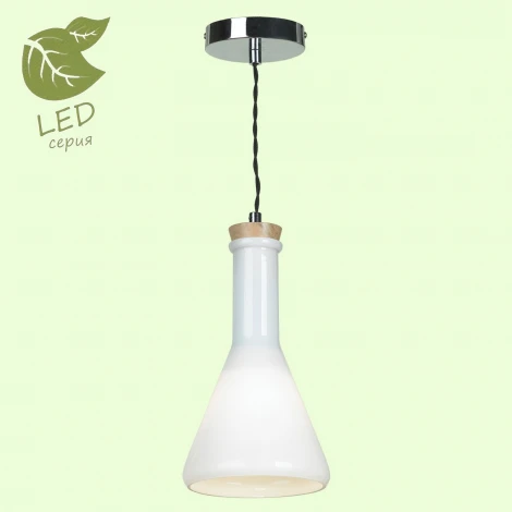 Подвесной светильник Lussole Loft Plainview GRLSP-9635