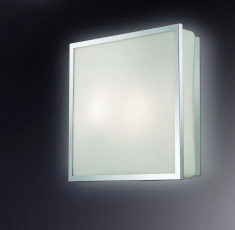 Настенно-потолочный светильник Odeon Light Tela 2537/1C