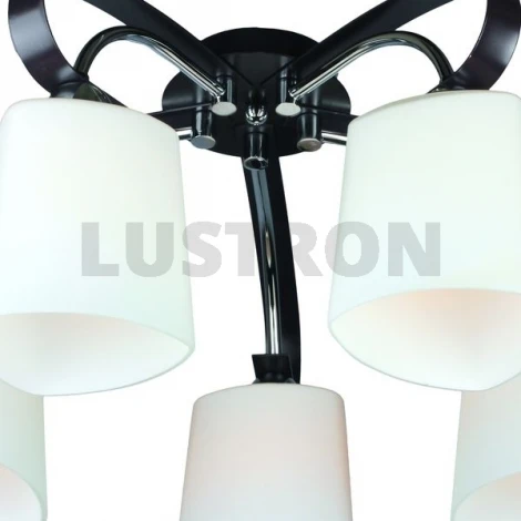 Потолочная люстра Omnilux OML-280 OML-28007-05
