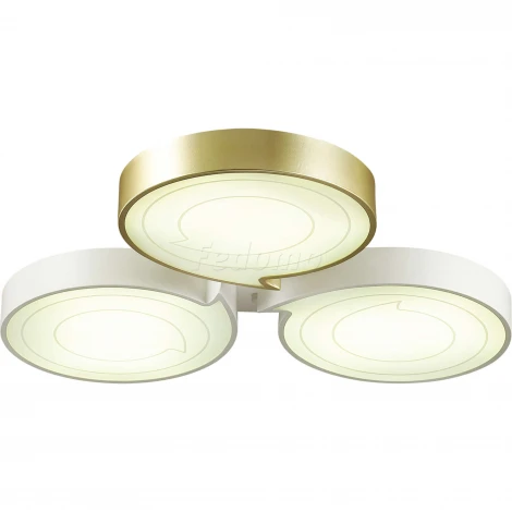 Потолочная люстра Lumion Dilip 3646/60CL