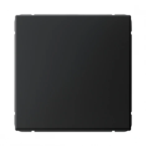 Выключатель одноклавишный (карбон) Systeme Electric GAL001015S