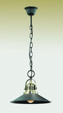 Подвесной светильник Odeon Light Latura 2898/1