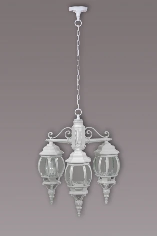 Уличный светильник подвесной Oasis Light America S W 83470S/3