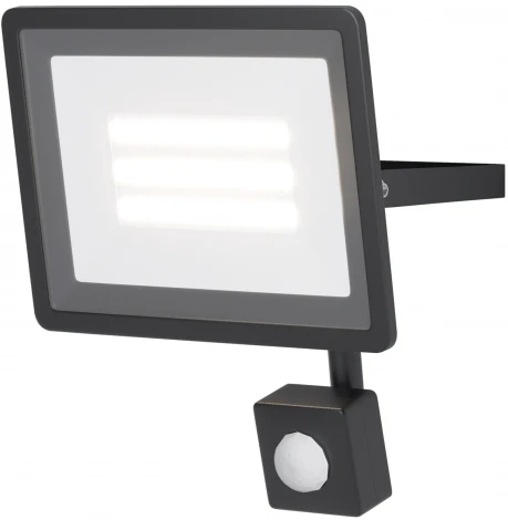 Прожектор уличный светодиодный с датчиком движения Maytoni Flood FL001-L30B6KSR (220V, IP65)
