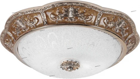 Потолочный светильник Arte Lamp Torta Lux A7137PL-2CR