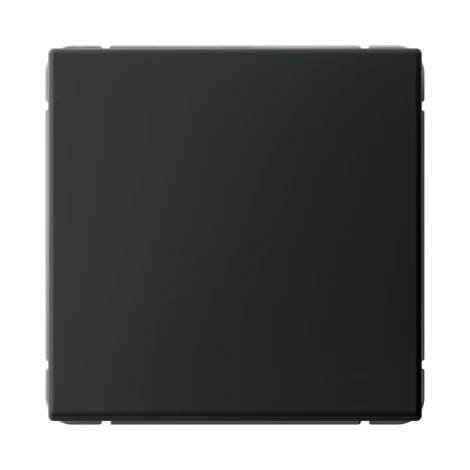 Выключатель одноклавишный (карбон) Systeme Electric GAL001011S