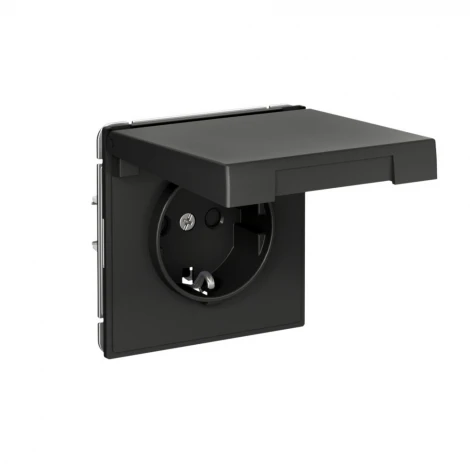 Розетка с заземлением, шторками и крышкой (базальт) Systeme Electric GAL001446S