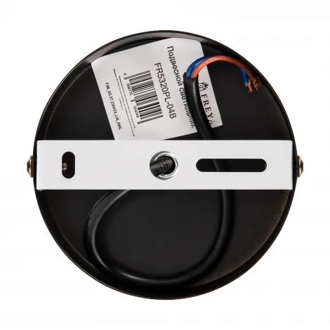 Потолочная люстра на штанге Freya Ellipse FR5320PL-04B